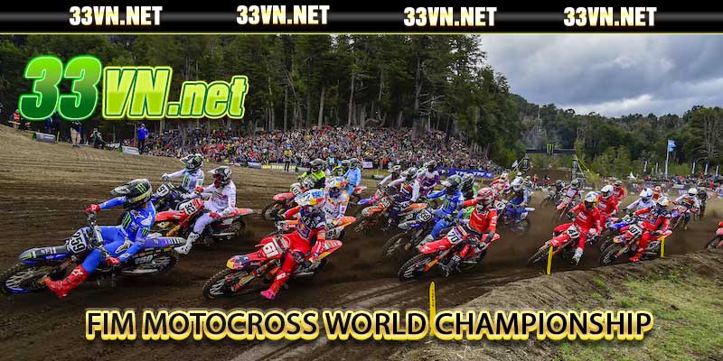 FIM Motocross World Championship