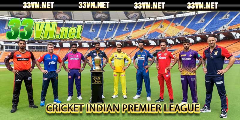 cricket Indian Premier League