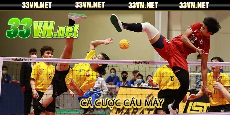 Cá cược cầu mây