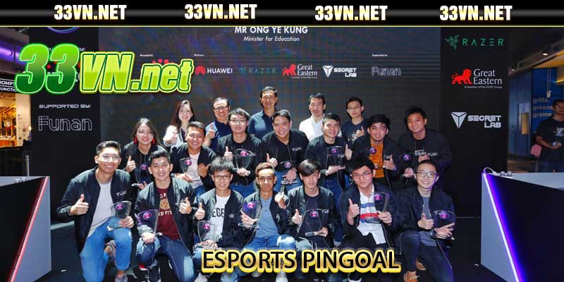Esports Pingoal